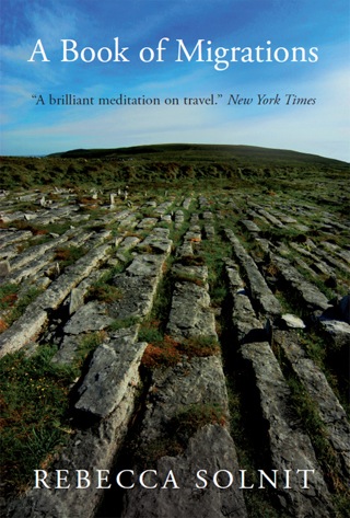 Cover image: A Book of Migrations 2nd edition 9781844677085