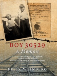 Cover image: Boy 30529 9781781683002
