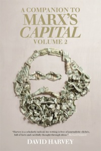 Titelbild: A Companion to Marx's Capital, Volume 2 9781781681213