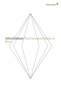 Cover image: The Concept of Nature in Marx 9781781681473