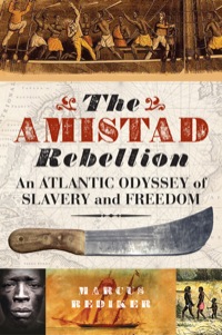 صورة الغلاف: The Amistad Rebellion 9781781682500