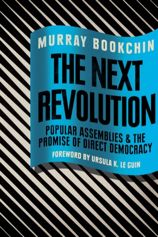 Titelbild: The Next Revolution 9781781685815