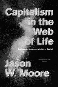 Omslagafbeelding: Capitalism in the Web of Life 9781781689028
