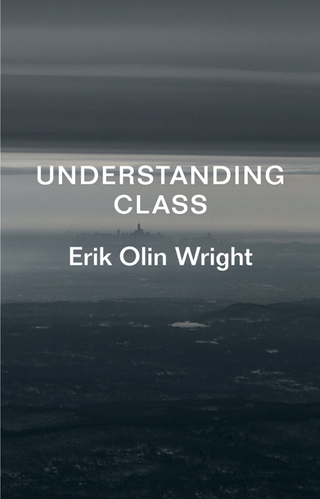 Cover image: Understanding Class 9781781689455