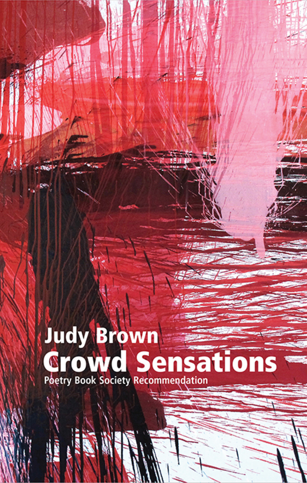 Crowd Sensations 1st Edition
