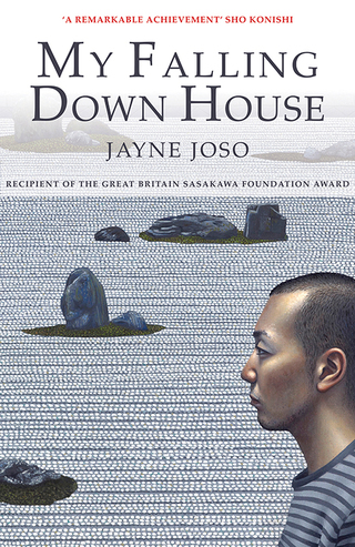 Cover image: My Falling Down House 1st edition 9781781723395
