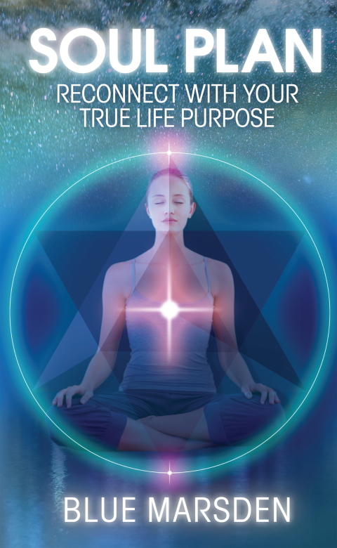 Soul Plan: Reconnect with Your True Life Purpose - FULL INSTANT DOWNLOAD | PDF DOCX EPUB