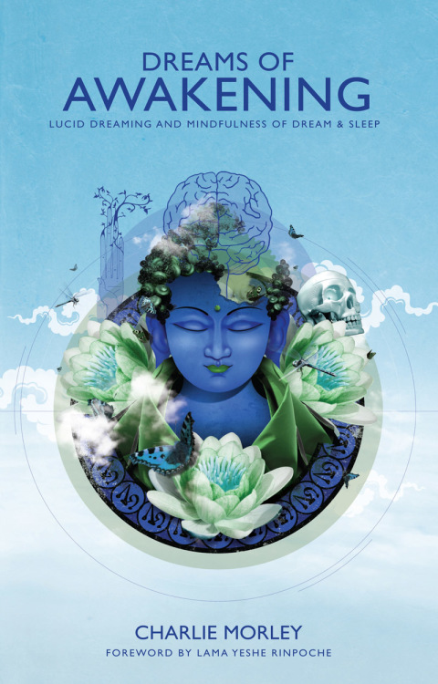 Dreams of Awakening: Lucid Dreaming and Mindfulness of Dream and Sleep - FULL INSTANT DOWNLOAD | PDF DOCX EPUB