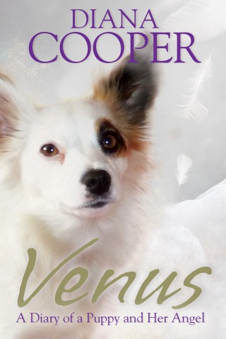 Cover image: Venus 9781781803851