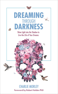 Cover image: Dreaming through Darkness 9781781807354