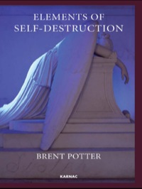 Imagen de portada: Elements of Self-Destruction 9781780490595