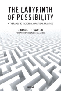 Imagen de portada: The Labyrinth of Possibility 9781782201762