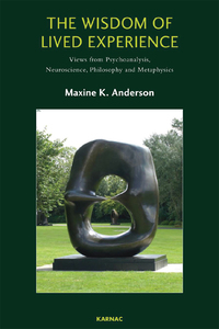 Cover image: The Wisdom of Lived Experience 9781782202127