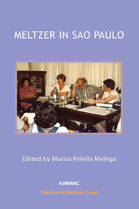 Cover image: Meltzer in Sao Paulo 9781782204657