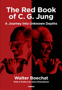 Omslagafbeelding: The Red Book of C.G. Jung 9781782204510