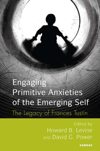 Imagen de portada: Engaging Primitive Anxieties of the Emerging Self 9781782202974