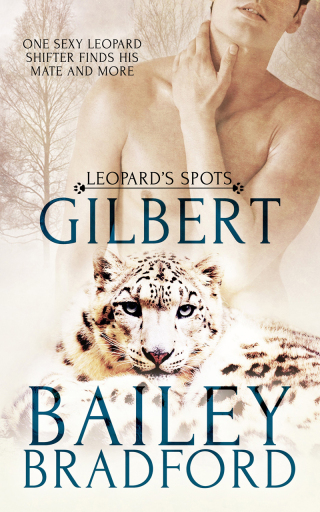 Cover image: Gilbert 1st edition 9781781840788