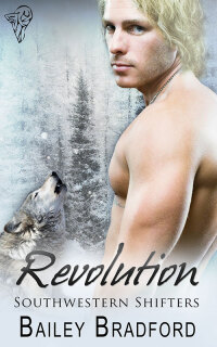 Cover image: Revolution 1st edition 9781781845820