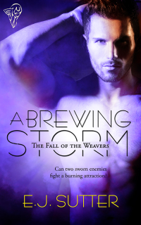 Cover image: A Brewing Storm 1st edition 9781781843505