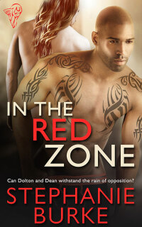 Cover image: In the Red Zone 1st edition 9781781844328