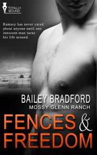 Cover image: Fences and Freedom 1st edition 9781781848869