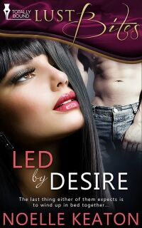 Cover image: Led by Desire 1st edition 9781781849040
