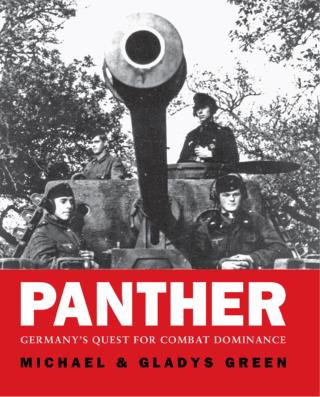 Omslagafbeelding: Panther 1st edition 9781849088411