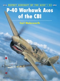 Cover image: P-40 Warhawk Aces of the CBI 1st edition 9781841760797