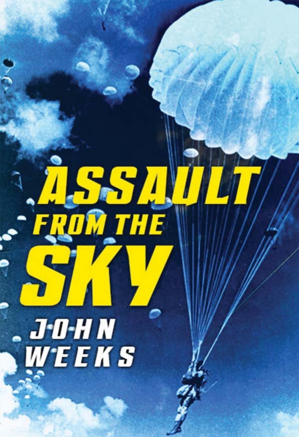 Assault From the Sky The History of Airborne Warfare 1939–1980s 1st Edition