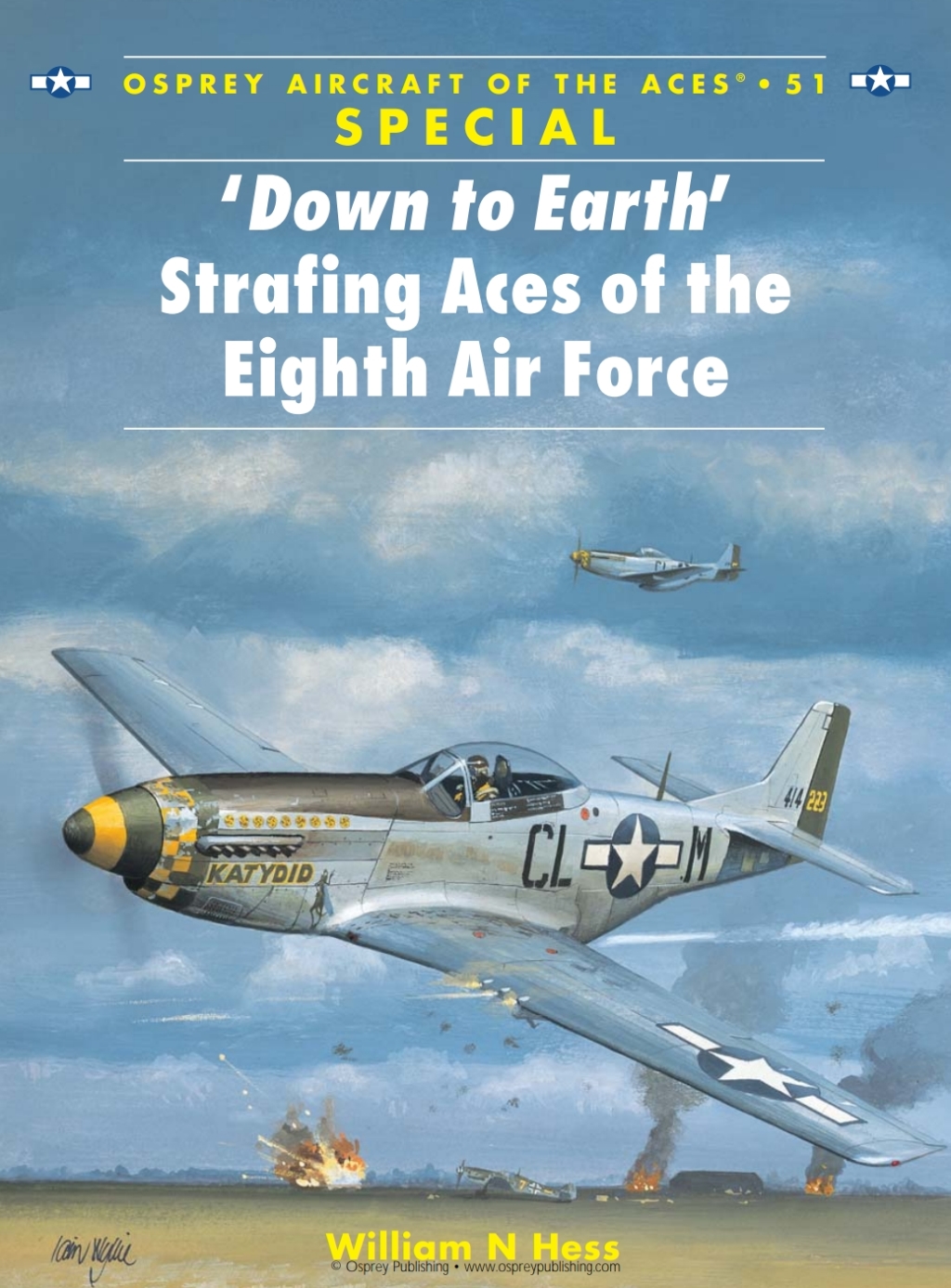 ‘Down to Earth’ Strafing Aces of the Eighth Air Force 1st Edition
