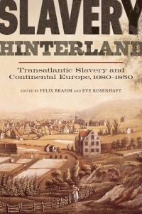 Cover image: Slavery Hinterland 1st edition 9781783271122
