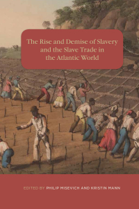 Imagen de portada: The Rise and Demise of Slavery and the Slave Trade in the Atlantic World 1st edition 9781580465601