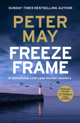 Cover image: Freeze Frame 9781681443546