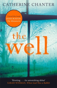 Cover image: The Well 9781782114666