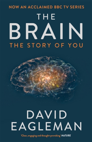 Cover image: The Brain 9781782116585