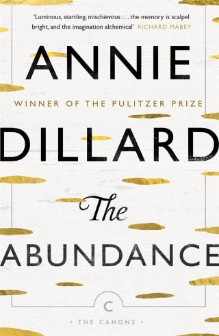 Cover image: The Abundance 9781782117711