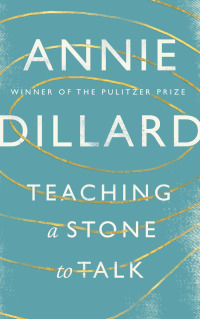 Cover image: Teaching a Stone to Talk 9781782118855