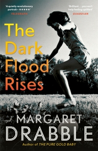 Cover image: The Dark Flood Rises 9781782118336