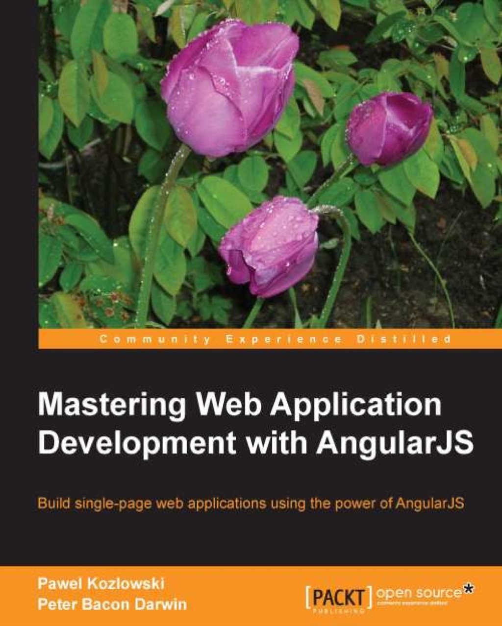 Mastering Web Application Development with AngularJS - 1st Edition (eBook)