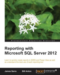 Cover image: Reporting with Microsoft SQL Server 2012 1st edition 9781782171720