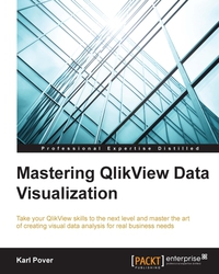Cover image: Mastering QlikView Data Visualization 1st edition 9781782173250
