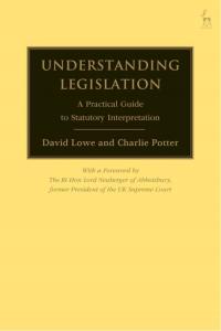 Cover image: Understanding Legislation 1st edition 9781849466417