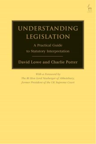 Cover image: Understanding Legislation 1st edition 9781849466417