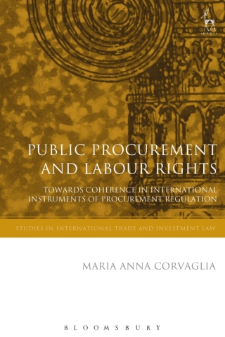 Imagen de portada: Public Procurement and Labour Rights 1st edition 9781509935185