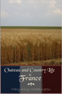 Titelbild: Chateau and Country Life in France 1st edition 9781785382727