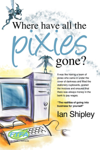 Imagen de portada: Where Have All the Pixies Gone? 1st edition 9781782341048