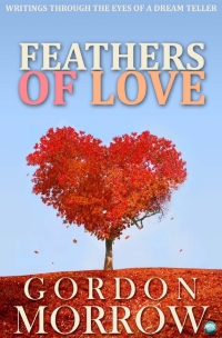 Cover image: Feathers of Love 1st edition 9781781661215