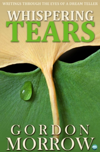 Imagen de portada: Whispering Tears 1st edition 9781782344926