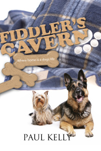 Cover image: Fiddler's Cavern 1st edition 9781849897532