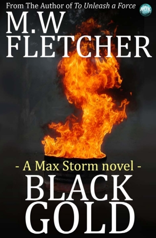 Cover image: Black Gold 2nd edition 9781782349143
